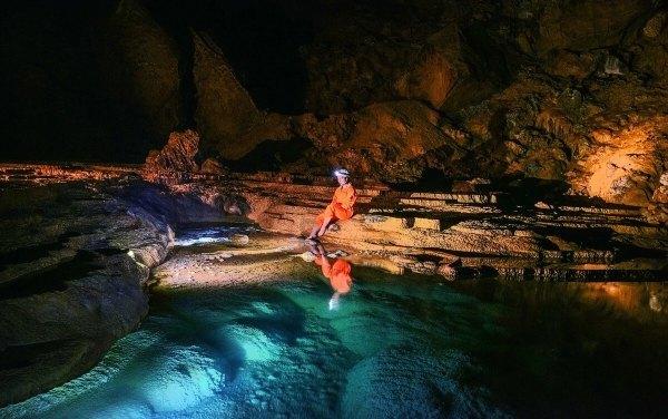 主人在医院死亡，忠犬每天守在医院门口，已经守了四个月仍在继续