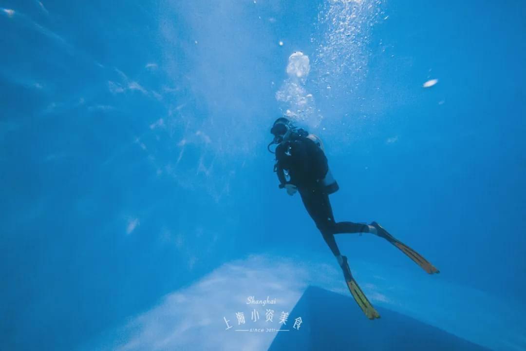 世界上最“奇葩”的水果,你见过几种?网友:贵的连皮也买不起!