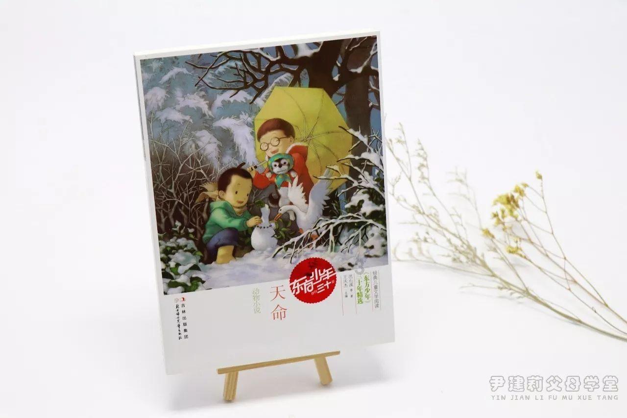 部落与弯刀心灵女巫加点