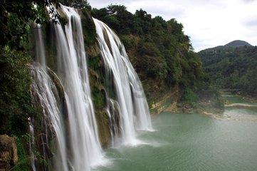逃离梦想花园