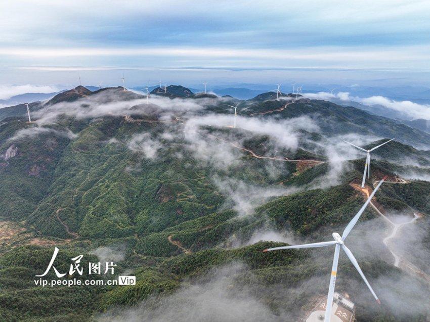 打造“完整社区”，陈教授育儿工作室为社区儿童健康保驾护航