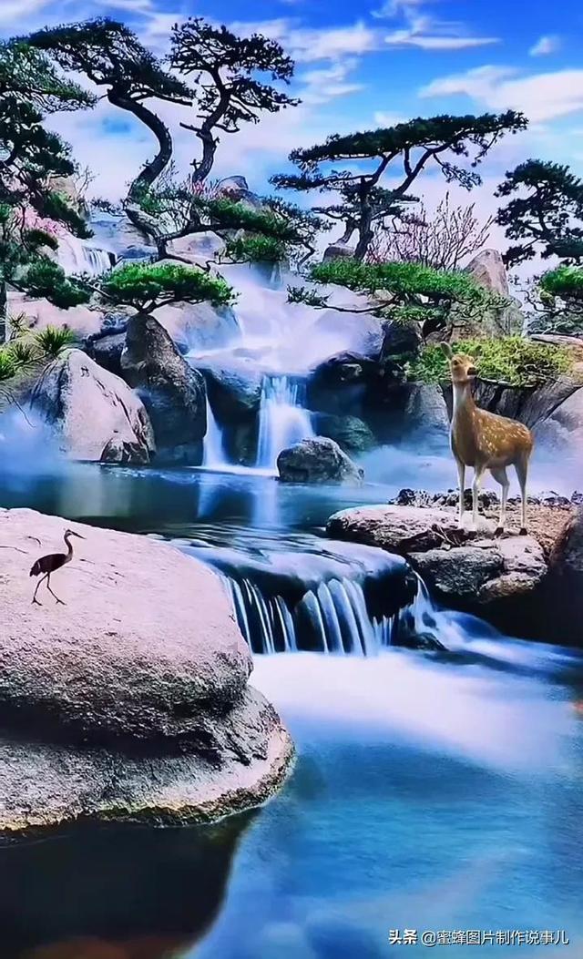 小萌妹的甜美装扮